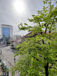 Town Spot - Premium Studio - Sanador Victoriei في بوخارست: اطلالة على شارع المدينة مع شجرة