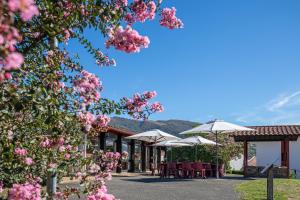 un edificio con mesas, sombrillas y flores rosas en VVF Pays Basque Saint-Étienne-de-Baïgorry en Saint-Étienne-de-Baïgorry