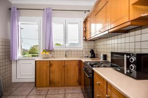 Kuchyňa alebo kuchynka v ubytovaní Aristotelis Apartment Lakithra-Alexandra