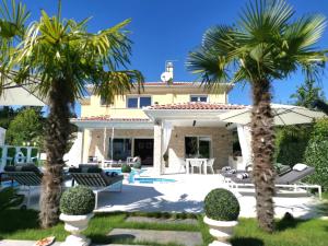 Donji Babići的住宿－Villa Santo，一座别墅,设有游泳池和两棵棕榈树