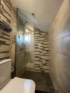 y baño con ducha y aseo. en Aktaia Villa, en Ierissos