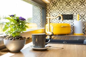 a cup of coffee and a potted plant on a table at Ubytovanie na Tokaji Empora Apartman in Veľká Tŕňa