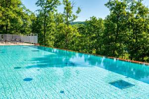a large swimming pool with trees in the background at Lifestyle Hotel Mátra in Mátraháza