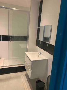 a bathroom with a white sink and a shower at LE DEPOT appartement du port à Champvert in Champvert