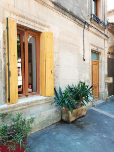 a building with two potted plants in front of a window at Dans maison de maître, appartement indépendant. in Montfrin