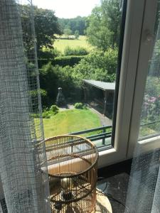 Balkón nebo terasa v ubytování Villa Sylvania