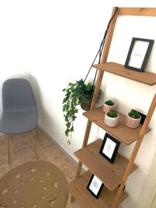 ein Regal mit Pflanzen und einem Stuhl in einem Zimmer in der Unterkunft Ampio e Confortavole Appartamento a Voghera in Voghera