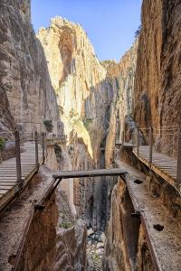 - une vue sur un canyon avec un pont dans l'établissement Sancha de Lara, à Malaga