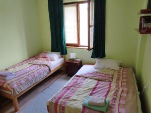 dwa łóżka w pokoju z oknem w obiekcie Stancic 019 w mieście Zaječar