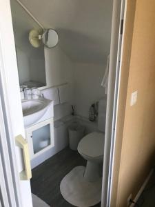 Koupelna v ubytování Villa Sylvania