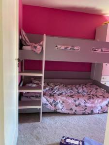 a bedroom with a bunk bed with a pink wall at Terenure House in Terenure