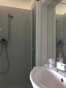 Koupelna v ubytování Villa Sylvania