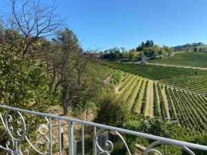 a view of a vineyard from a metal railing at Casa Quinterni in Alba