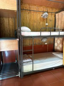 kilka łóżek piętrowych w pokoju w obiekcie Tam Coc Bungalow w mieście Ninh Binh