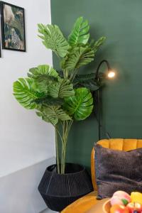 a green plant in a black vase on a table at Stylish Cardiff City Apartment with Parking in Cardiff