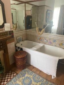 a large white bath tub in a bathroom with a mirror at Les Fleurs Accommodation in Dover