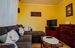 TV a/nebo společenská místnost v ubytování Holiday Home Pelegrin 58