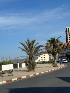 奧蘭的住宿－Eden Park, in Algeria by the beach.，一条种有棕榈树的街道和一条路上的长凳