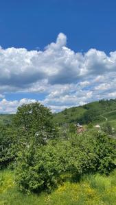 vistas a una colina verde con árboles y casas en Azaliya, en Lazeshchyna