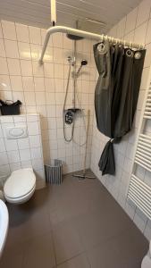 a bathroom with a toilet and a shower in it at Ferienhaus Alte Schule Niebüll in Niebüll