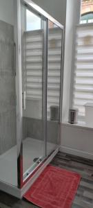 een glazen douche in de badkamer met een rood tapijt bij appartement du caractère in Elbeuf