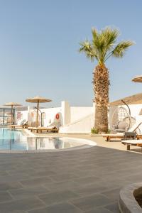 a palm tree next to a swimming pool at Sunrise Hotel in Ios Chora