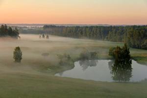 的住宿－Mājiņa ar pirti ,lauku apvidū.，一片树木林立的荒野中的一片雾 ⁇ 的湖泊