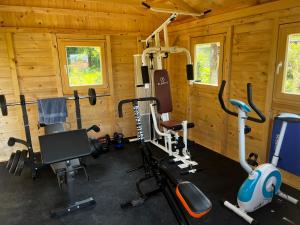 un gimnasio con equipamiento de ejercicio en una cabaña en Active Chillax Oasis Apartments, en Ankaran