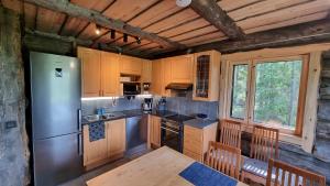 的住宿－Villa Kaunisvirta，小屋内的厨房配有不锈钢冰箱
