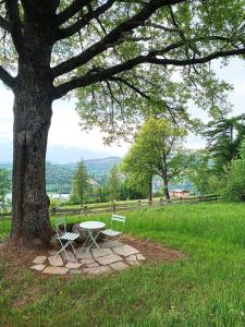una mesa de picnic y dos sillas bajo un árbol en Baita dei Fovi, en Baselga di Pinè