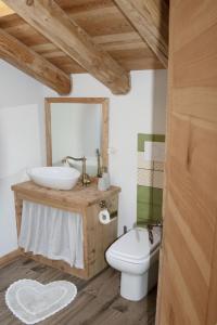 a bathroom with a sink and a toilet and a mirror at Baita dei Fovi in Baselga di Pinè