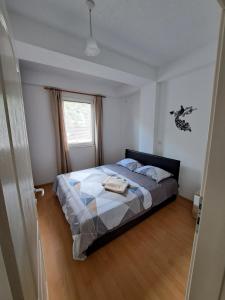 1 dormitorio con cama y ventana en Tatjana's Apartments Ohrid, en Ohrid