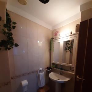 a small bathroom with a sink and a mirror at Viajeros in La Laguna