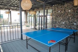 a blue ping pong table in a room at Silence hotel in Cholpon-Ata