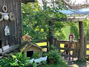 Ein Pferd steht hinter einem Zaun neben einer Scheune in der Unterkunft Chalet Reserl by Interhome in Lichtpold