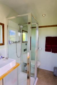 uma casa de banho com um chuveiro, um lavatório e um WC. em Bluebell huts em Abergavenny