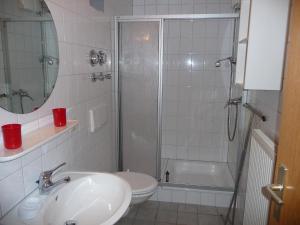 ショナッハにあるApartment Schwarzwaldblick-8 by Interhomeのバスルーム(シャワー、洗面台、トイレ付)