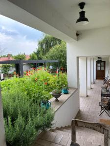 Villa Szent Jakab 8245 Vászoly, Kossuth utca 21. kép - 2