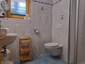een badkamer met een toilet en een wastafel bij Apartment Rosa-8 by Interhome in Mayrhofen