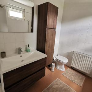 uma casa de banho com um lavatório e um WC em Family apartment Tuzla (100 m2) em Tuzla