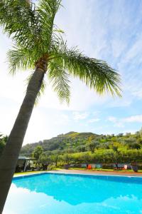 a palm tree and a swimming pool with a mountain in the background at Kalos Relais in Catanzaro