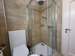 bagno con doccia in vetro e servizi igienici di Holiday Home Villetta Irma by Interhome a Ronco sopra Ascona