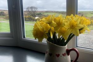 Galeriebild der Unterkunft Swang Cottage with optional hot tub in Glaisdale