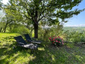 a chair sitting in the grass next to a tree at Apartment Gatto - MZO101 by Interhome in Belvedere Langhe