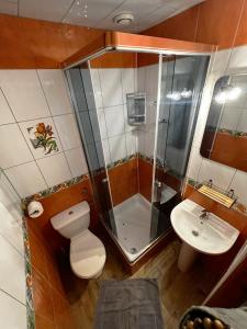 a bathroom with a shower and a toilet and a sink at Willa Sofia in Poronin