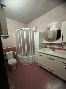 a bathroom with a toilet and a sink and a shower at Doğal apart in Trabzon