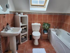 a bathroom with a toilet and a sink and a tub at Divine Cottage in Ballycastle +36 photos