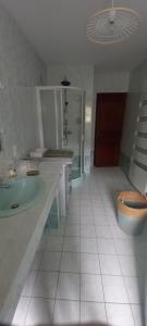 a bathroom with a shower and a sink and a toilet at Appartement cocooning à la ferme in Sisteron