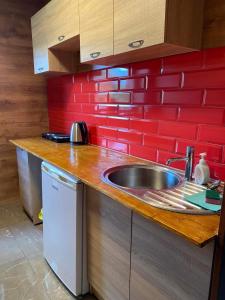 cocina con fregadero y pared de ladrillo rojo en Basic Apartment, en Līksna