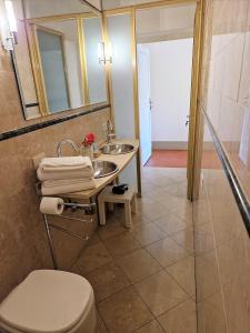La salle de bains est pourvue d'un lavabo, de toilettes et d'un miroir. dans l'établissement Palazzo Rosselmini, à Pise